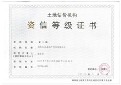 湖南省土地估价师与土地登记代理人协会2019年度省一级资信机构